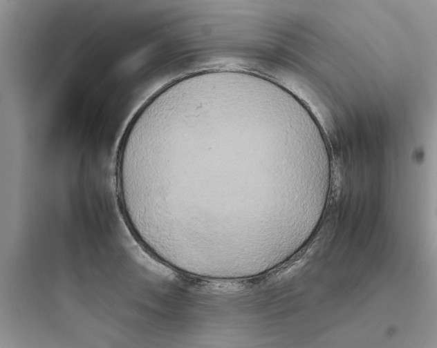 X0000097641090200803211827