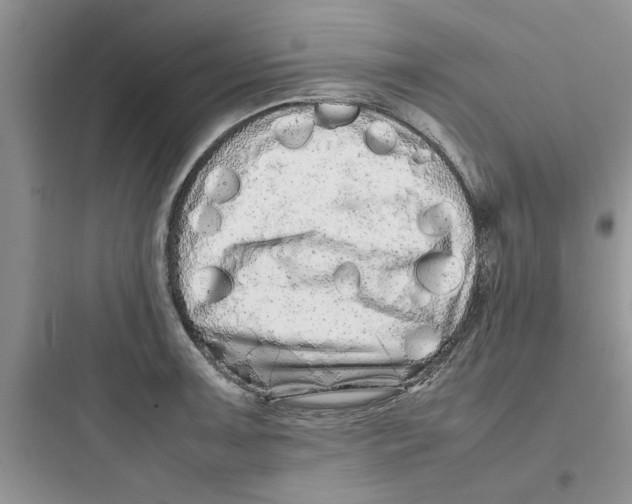 X0000097641091200803211827