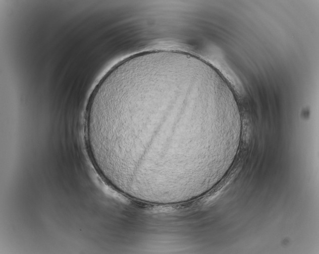 X0000097641094200803211827