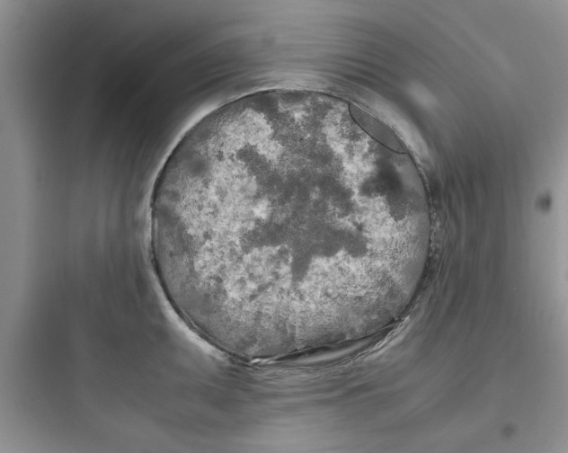 X0000097641095200803211827