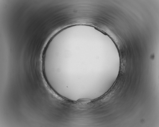 X0000097641096200803211827