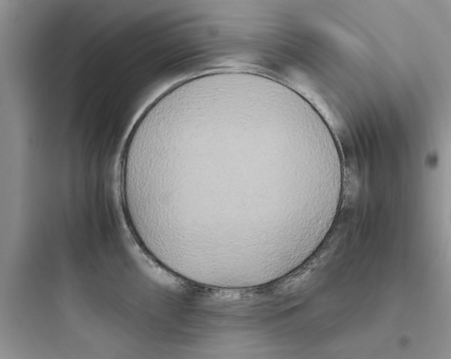 X0000097641098200803211827