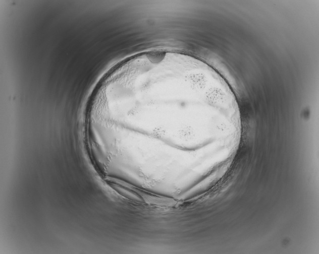 X0000097641099200803211827