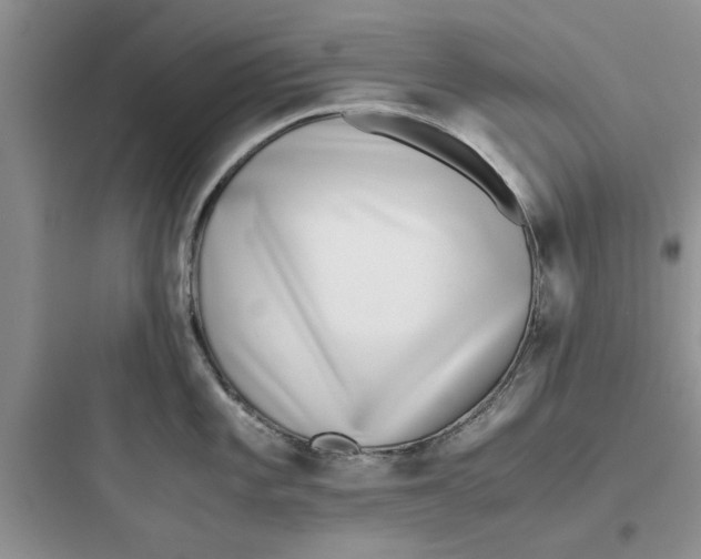 X0000097641101200803211827