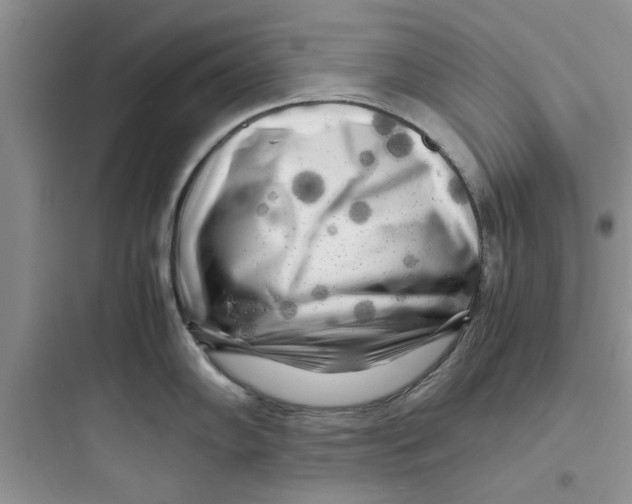 X0000097641102200803211827