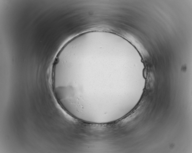 X0000097641103200803211827