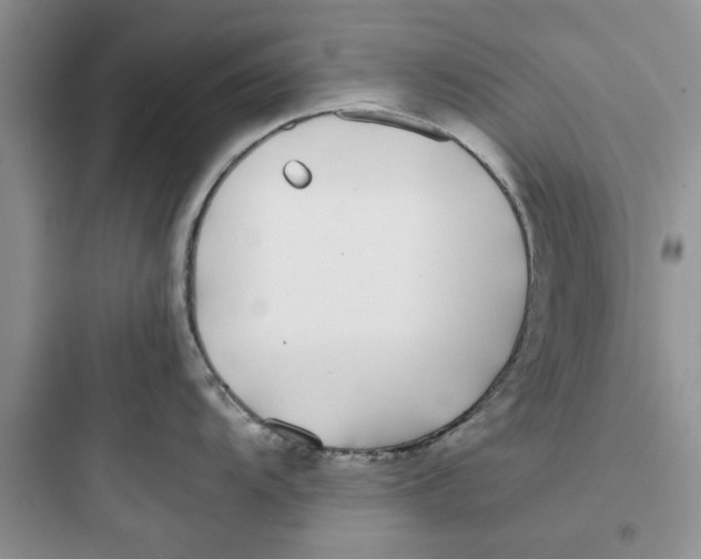 X0000097641104200803211827