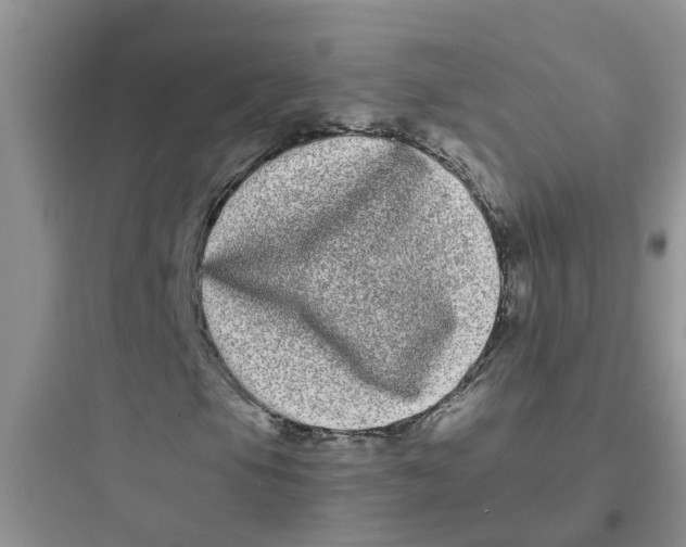 X0000097641105200803211826