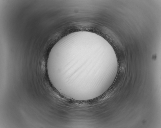 X0000097641108200803211826