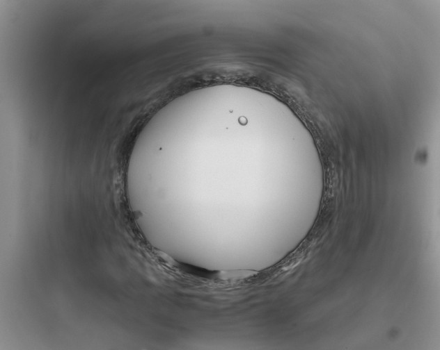 X0000097641109200803211826