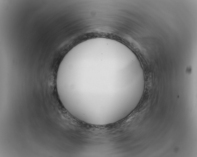 X0000097641110200803211826