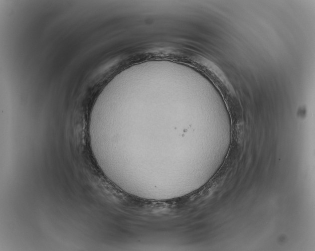 X0000097641111200803211826