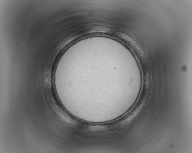 X0000097641113200803211826