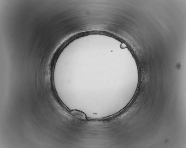 X0000097641118200803211826