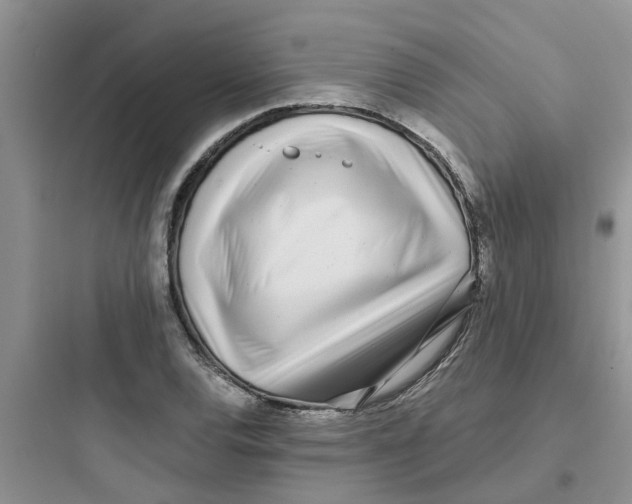 X0000097641120200803211826