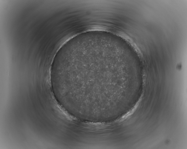 X0000097641121200803211826