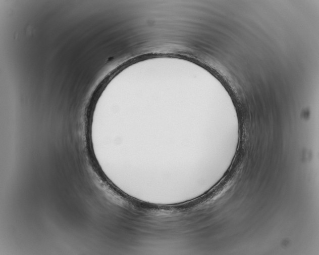 X0000097641122200803211826