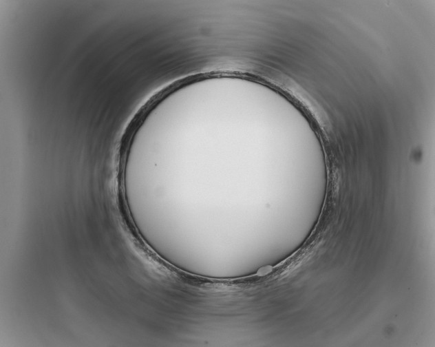 X0000097641124200803211826