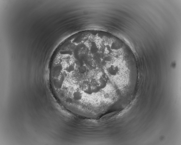 X0000097641125200803211826