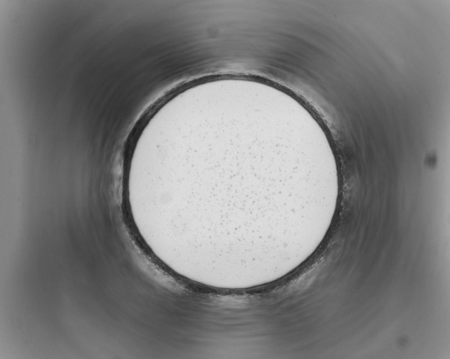 X0000097641126200803211826