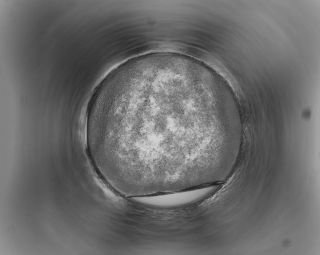 X0000097641127200803211826