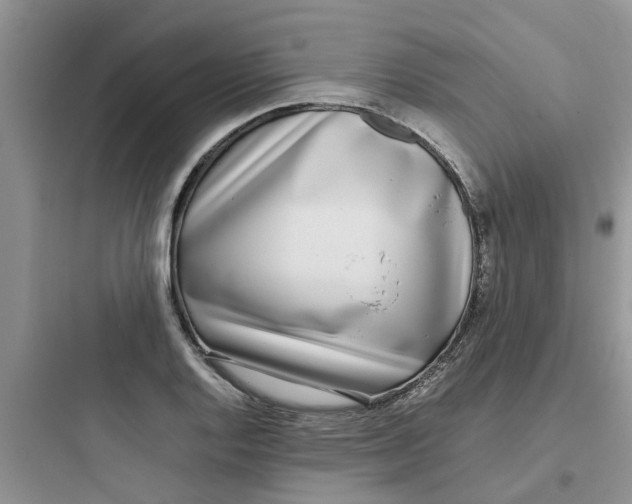 X0000097641128200803211826