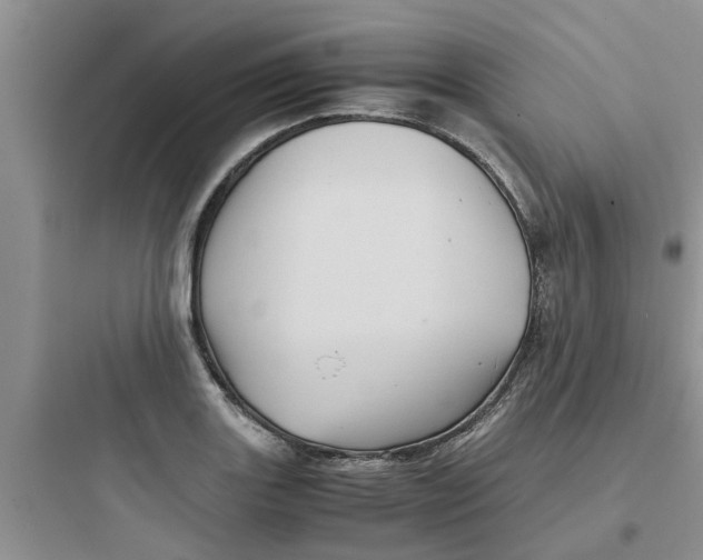 X0000097641131200803211826