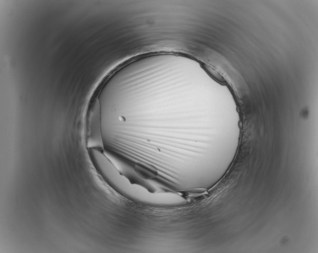 X0000097641132200803211826