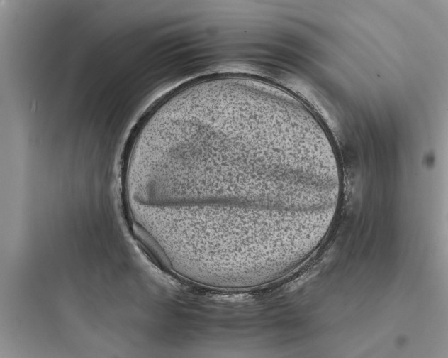 X0000097641133200803211826