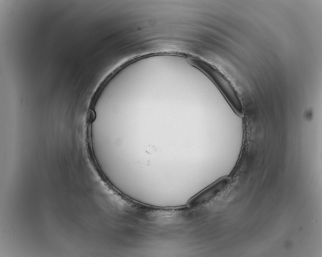 X0000097641134200803211826