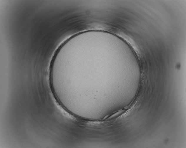 X0000097641135200803211826