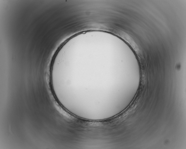 X0000097641136200803211826