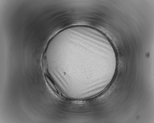 X0000097641137200803211826