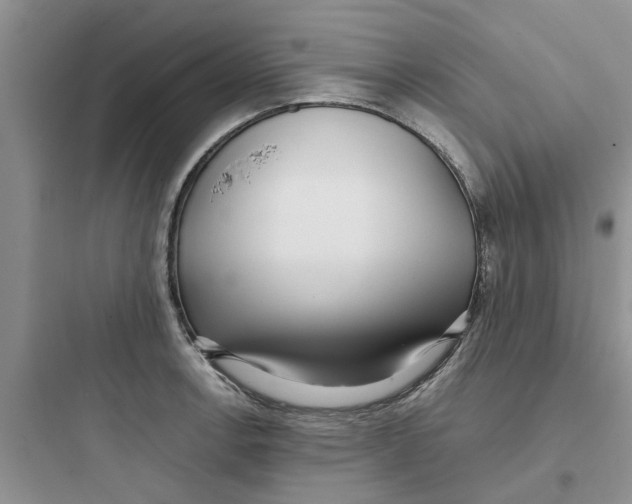 X0000097641138200803211826