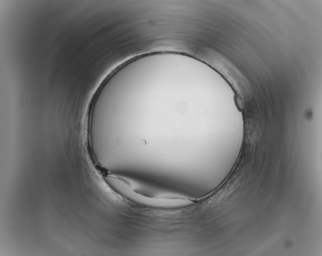 X0000097641140200803211827