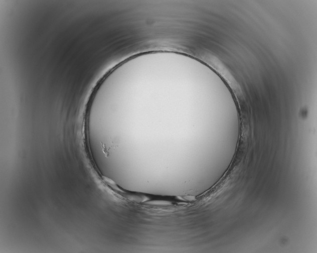 X0000097641144200803211827