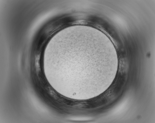 X0000097641150200803211827