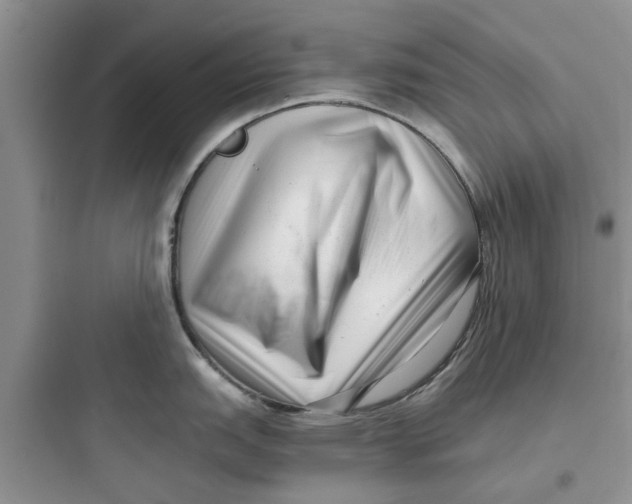 X0000097641151200803211827