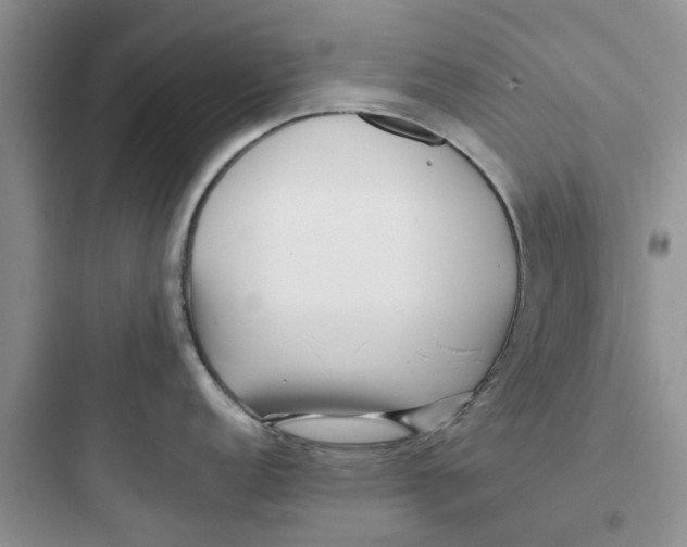 X0000097641152200803211827