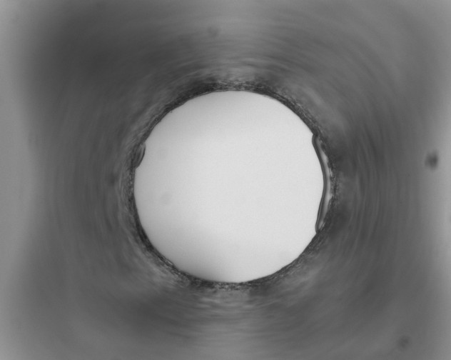 X0000097641153200803211826