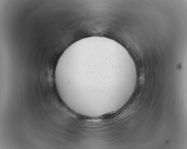 X0000097641156200803211826