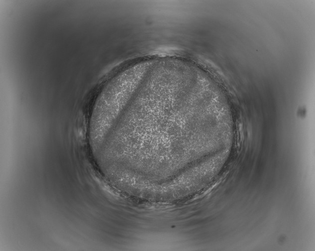 X0000097641158200803211826