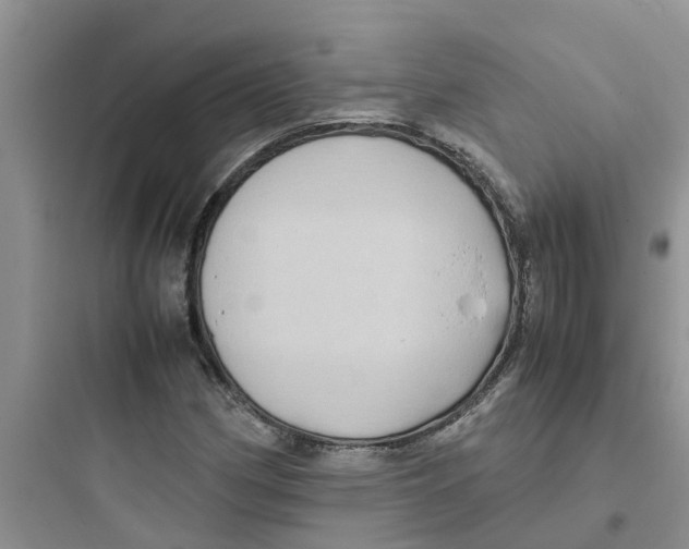 X0000097641162200803211826