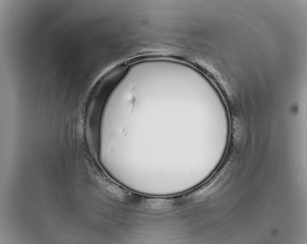 X0000097641163200803211826