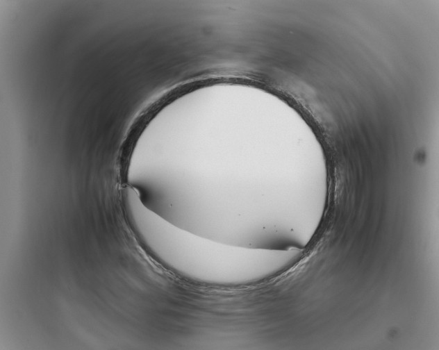 X0000097641164200803211826