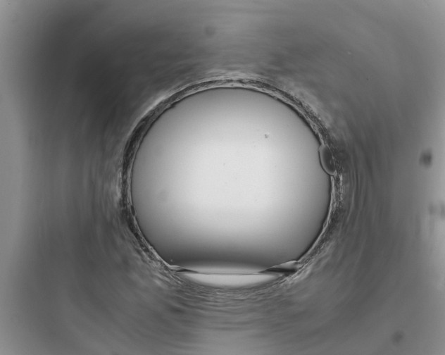 X0000097641165200803211826