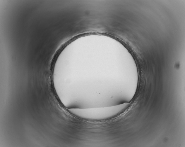 X0000097641168200803211826