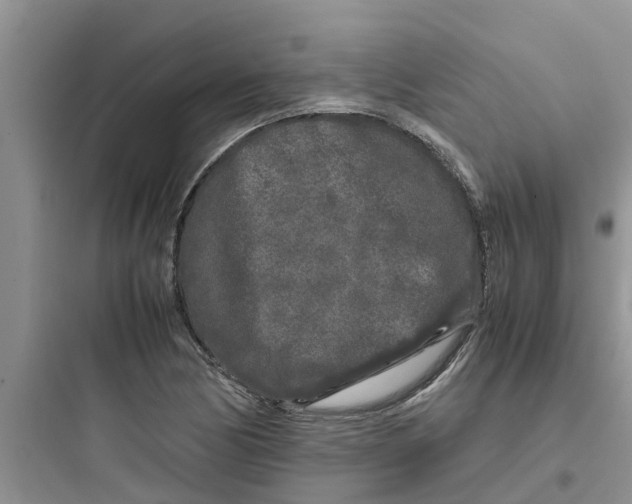 X0000097641170200803211826