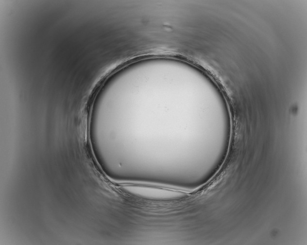 X0000097641171200803211826