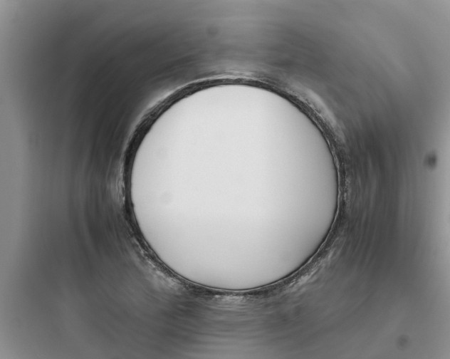 X0000097641172200803211826